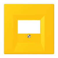 centre plate for TAE-socket LC4320W - JUNG (pavadinimas tikslinamas)