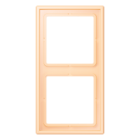 2-gang frame LC32060 - JUNG (pavadinimas tikslinamas)