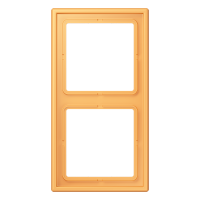 2-gang frame LC4320L - JUNG (pavadinimas tikslinamas)