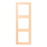 3-gang frame LC32060 - JUNG (pavadinimas tikslinamas)