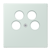 cover plate for SAT-TV socket Axing LC3 - JUNG (pavadinimas tikslinamas)