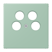 cover plate for SAT-TV socket Axing LC3 - JUNG (pavadinimas tikslinamas)