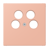 cover plate for SAT-TV socket Axing LC3 - JUNG (pavadinimas tikslinamas)