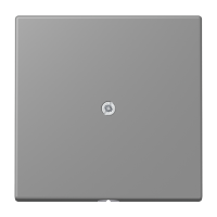 cable outlet w.centre plate and insert L - JUNG (pavadinimas tikslinamas)