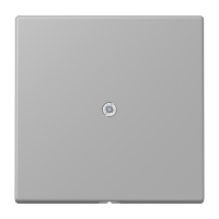 cable outlet w.centre plate and insert L - JUNG (pavadinimas tikslinamas)