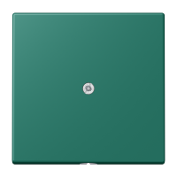 cable outlet w.centre plate and insert L - JUNG (pavadinimas tikslinamas)