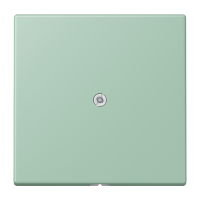cable outlet w.centre plate and insert L - JUNG (pavadinimas tikslinamas)