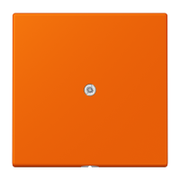 cable outlet w.centre plate and insert L - JUNG (pavadinimas tikslinamas)
