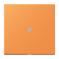cable outlet w.centre plate and insert L - JUNG (pavadinimas tikslinamas)