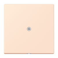 cable outlet w.centre plate and insert L - JUNG (pavadinimas tikslinamas)