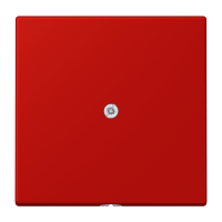 cable outlet w.centre plate and insert L - JUNG (pavadinimas tikslinamas)