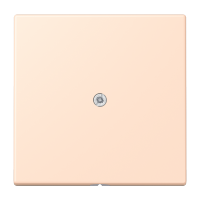 cable outlet w.centre plate and insert L - JUNG (pavadinimas tikslinamas)