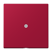 cable outlet w.centre plate and insert L - JUNG (pavadinimas tikslinamas)