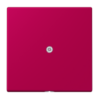 cable outlet w.centre plate and insert L - JUNG (pavadinimas tikslinamas)