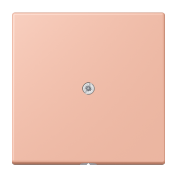 cable outlet w.centre plate and insert L - JUNG (pavadinimas tikslinamas)