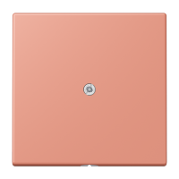 cable outlet w.centre plate and insert L - JUNG (pavadinimas tikslinamas)