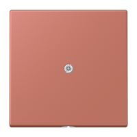 cable outlet w.centre plate and insert L - JUNG (pavadinimas tikslinamas)