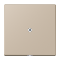 cable outlet w.centre plate and insert L - JUNG (pavadinimas tikslinamas)