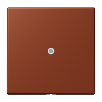 cable outlet w.centre plate and insert L - JUNG (pavadinimas tikslinamas)