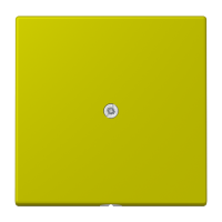 cable outlet w.centre plate and insert L - JUNG (pavadinimas tikslinamas)