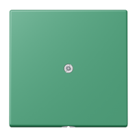 cable outlet w.centre plate and insert L - JUNG (pavadinimas tikslinamas)