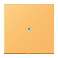 cable outlet w.centre plate and insert L - JUNG (pavadinimas tikslinamas)