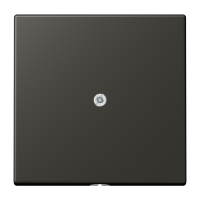 cable outlet w.centre plate and insert L - JUNG (pavadinimas tikslinamas)
