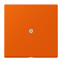 cable outlet w.centre plate and insert L - JUNG (pavadinimas tikslinamas)