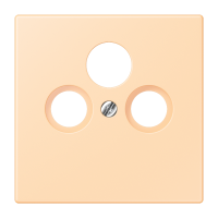 Centre plate for SAT-TV-FM LC32060 - JUNG (pavadinimas tikslinamas)