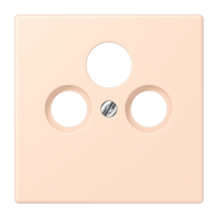 Centre plate for SAT-TV-FM LC32091 - JUNG (pavadinimas tikslinamas)