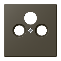 Centre plate for SAT-TV-FM LC32140 - JUNG (pavadinimas tikslinamas)