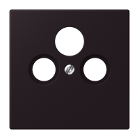 Centre plate for SAT-TV-FM LC4320E - JUNG (pavadinimas tikslinamas)