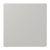 blank centre plate LC32013 - JUNG (pavadinimas tikslinamas)