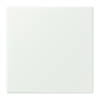 blank centre plate LC32024 - JUNG (pavadinimas tikslinamas)