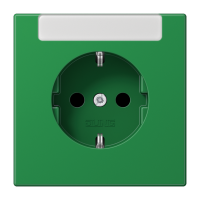 SCHUKO® socket with inscription plate - JUNG (pavadinimas tikslinamas)