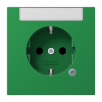 SCHUKO socket - JUNG (pavadinimas tikslinamas)