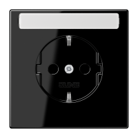 SCHUKO socket - JUNG (pavadinimas tikslinamas)