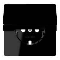 centre plate - JUNG (pavadinimas tikslinamas)