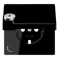 centre plate - JUNG (pavadinimas tikslinamas)