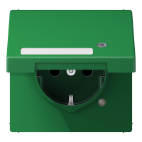 Schuko socket with hinged lid - JUNG (pavadinimas tikslinamas)