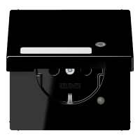 Schuko socket with hinged lid - JUNG (pavadinimas tikslinamas)