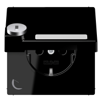 Schuko socket with hinged lid - JUNG (pavadinimas tikslinamas)