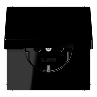SCHUKO socket - JUNG (pavadinimas tikslinamas)