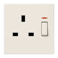 switched socket - JUNG (pavadinimas tikslinamas)