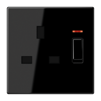 switched socket - JUNG (pavadinimas tikslinamas)