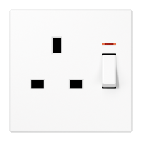 switched socket - JUNG (pavadinimas tikslinamas)