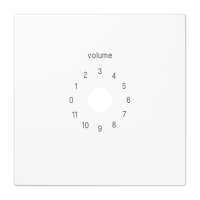 centre plate for Dynacord - JUNG (pavadinimas tikslinamas)