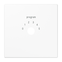 centre plate for Dynacord - JUNG (pavadinimas tikslinamas)