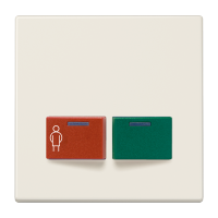 Cover plate for Ackermann - JUNG (pavadinimas tikslinamas)