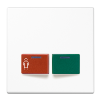 Cover plate for Ackermann - JUNG (pavadinimas tikslinamas)